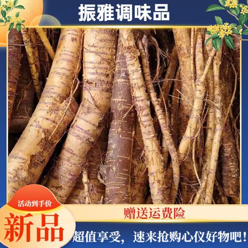 桑树根 从农家现挖到餐桌的养生智慧