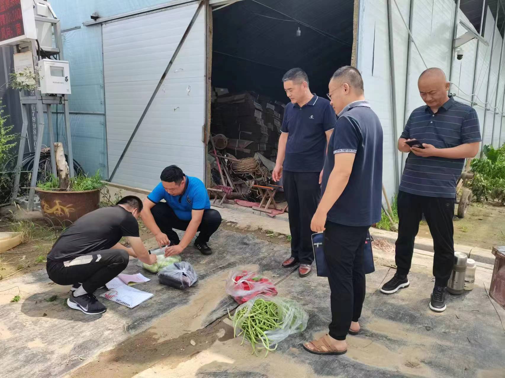 罗庄全面推行食用农产品承诺达标合格证制度，带证农产品让您放心吃